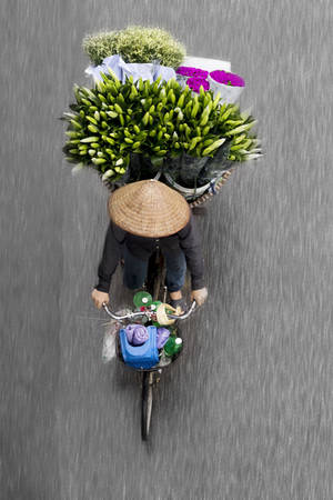 Từng sống ở Hà Nội 4 năm, Loes Heerink cho biết, những người bán rong trên đường phố đã truyền cho cô nguồn cảm hứng để thực hiện một bộ sách ảnh ngay khi đến Việt Nam.