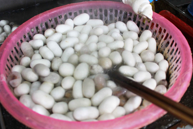 Theo anh Cường, tơ tằm Lâm Đồng đẹp, dài và bóng. Nếu bình thường một con kén ở ngoài Bắc nhả sợi tơ dài 300-500m thì ở đây, kén Lâm Đồng nhả tơ dài đến 1.000m.