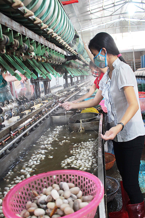 Quy trình sản xuất bắt đầu từ việc mua kén rồi ươm tơ, dệt lụa, tẩy nhuộm, thiết kế sản phẩm, may thêu trang phục, tranh.
