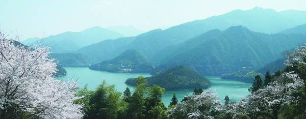 Shikoku, Nhật Bản: Shikoku là một trong 4 đảo lớn của Nhật Bản và chưa được khám phá nhiều. Du khách sẽ có cơ hội thưởng thức mì udon ngon nhất nước Nhật, chiêm ngưỡng các tòa lâu đài cổ, đi bộ trên đường mòn qua núi, hay chèo thuyền kayak trên sông. Nếu có thời gian, bạn nên đi tuyến đường hành hương nổi tiếng qua 88 ngôi đền. Ảnh: Janenecarey.
