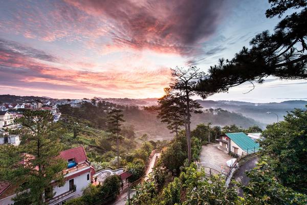 YOLO Camping House view đồi thông lộng gió tại Đà Lạt