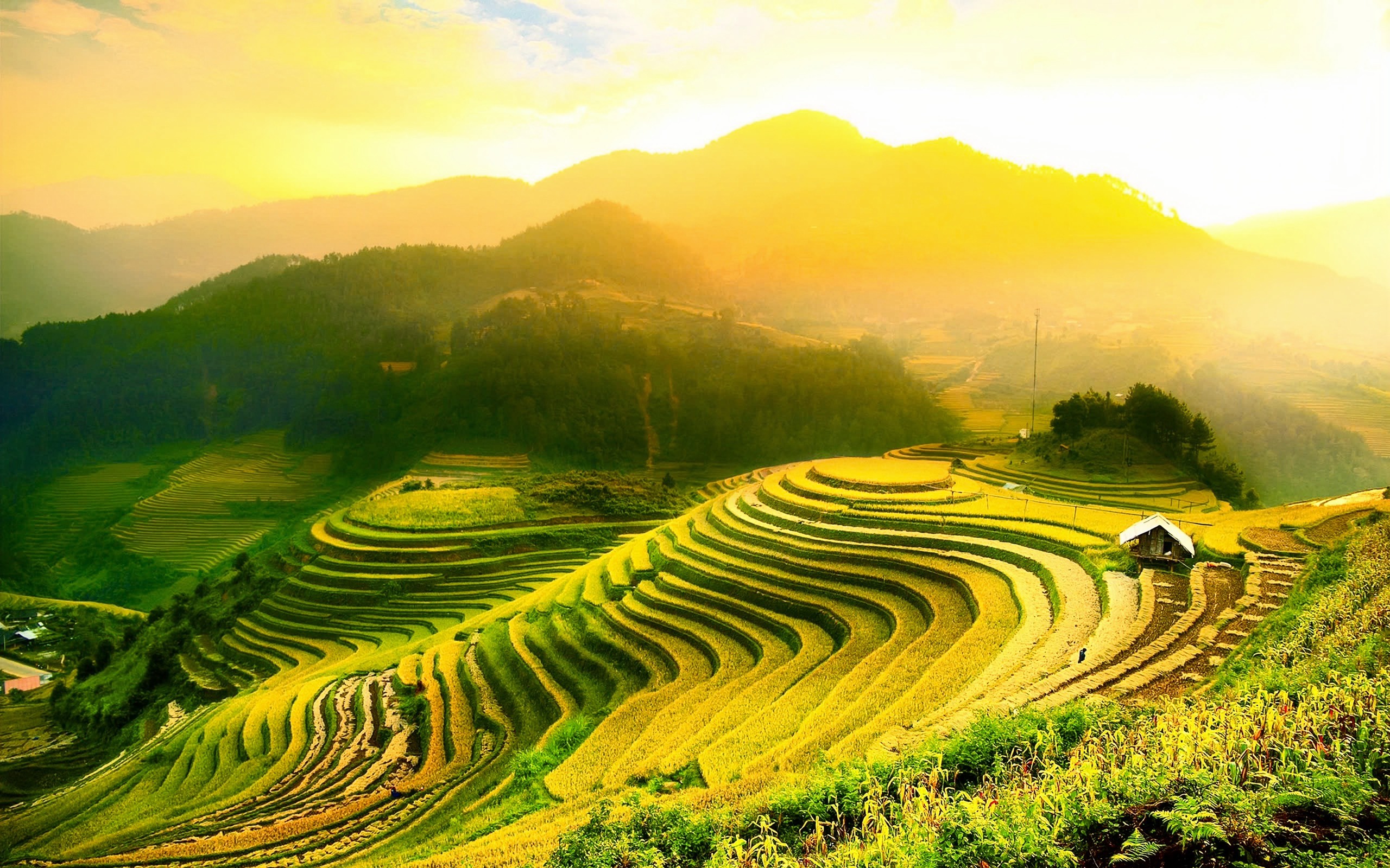 Đặt ngay tour Tây Bắc 3N2Đ ngắm cảnh sắc mùa vàng Mù Cang Chải