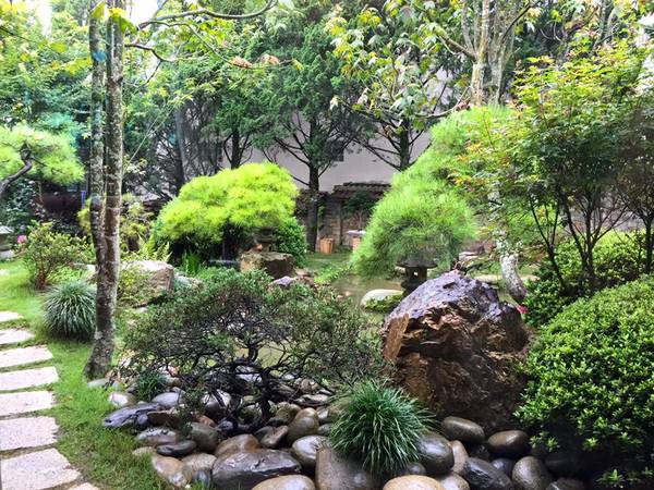 Không gian sáng sớm lý tưởng tại Zen Garden Coffee Đà Lạt