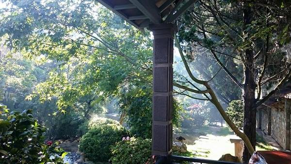 Không gian Zen Garden Coffee Đà Lạt lý tưởng cho gặp gỡ bạn bè và thưởng thức cà phê