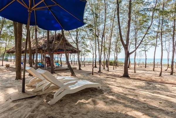 Không gian rộng lớn bao quanh bởi rừng dương tại Zenna Pool Camp