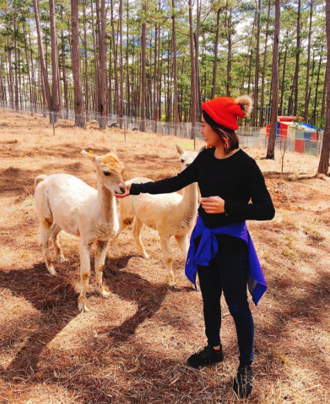 Zoodoo Đà Lạt - View thung lũng xanh