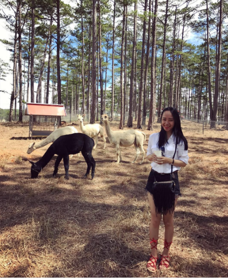 Zoodoo Đà Lạt - Du khách chụp ảnh